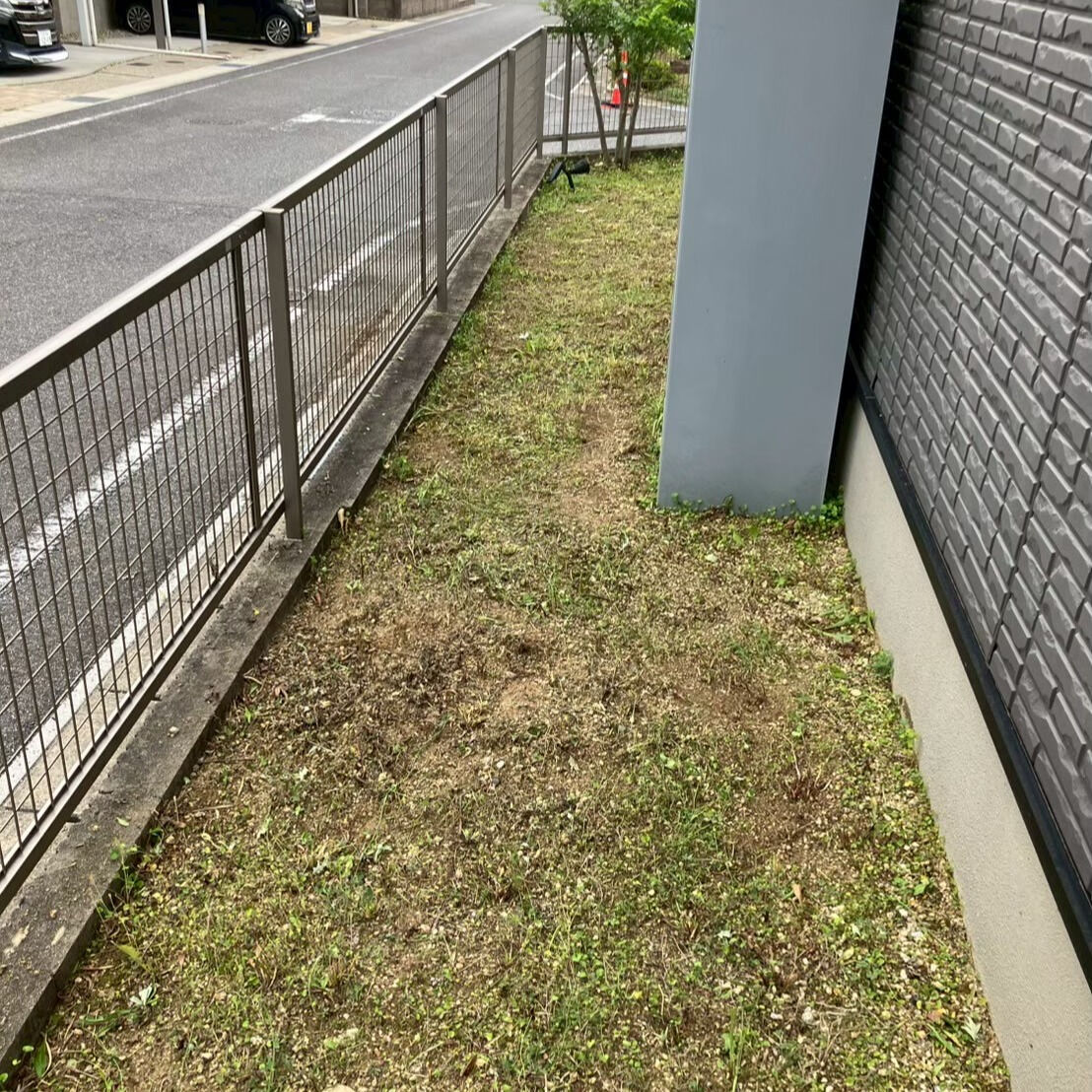 ⭐草刈・剪定⭐