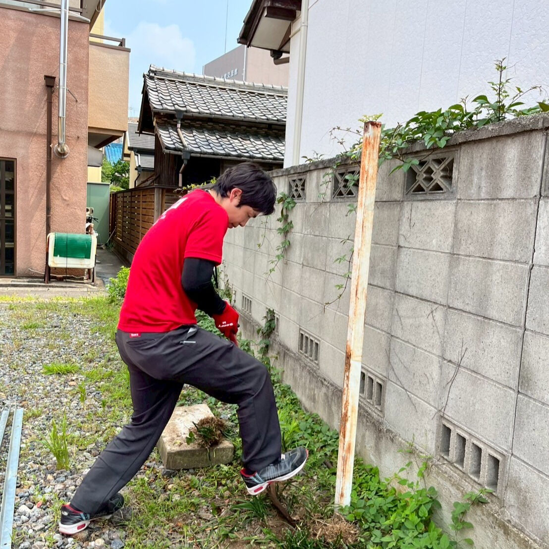 ⭐杭抜き作業⭐