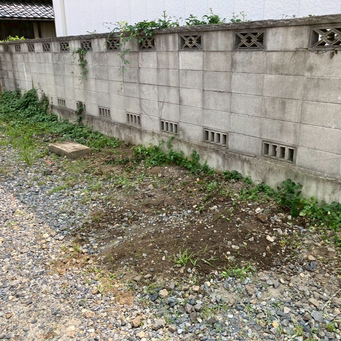 ⭐杭抜き作業⭐