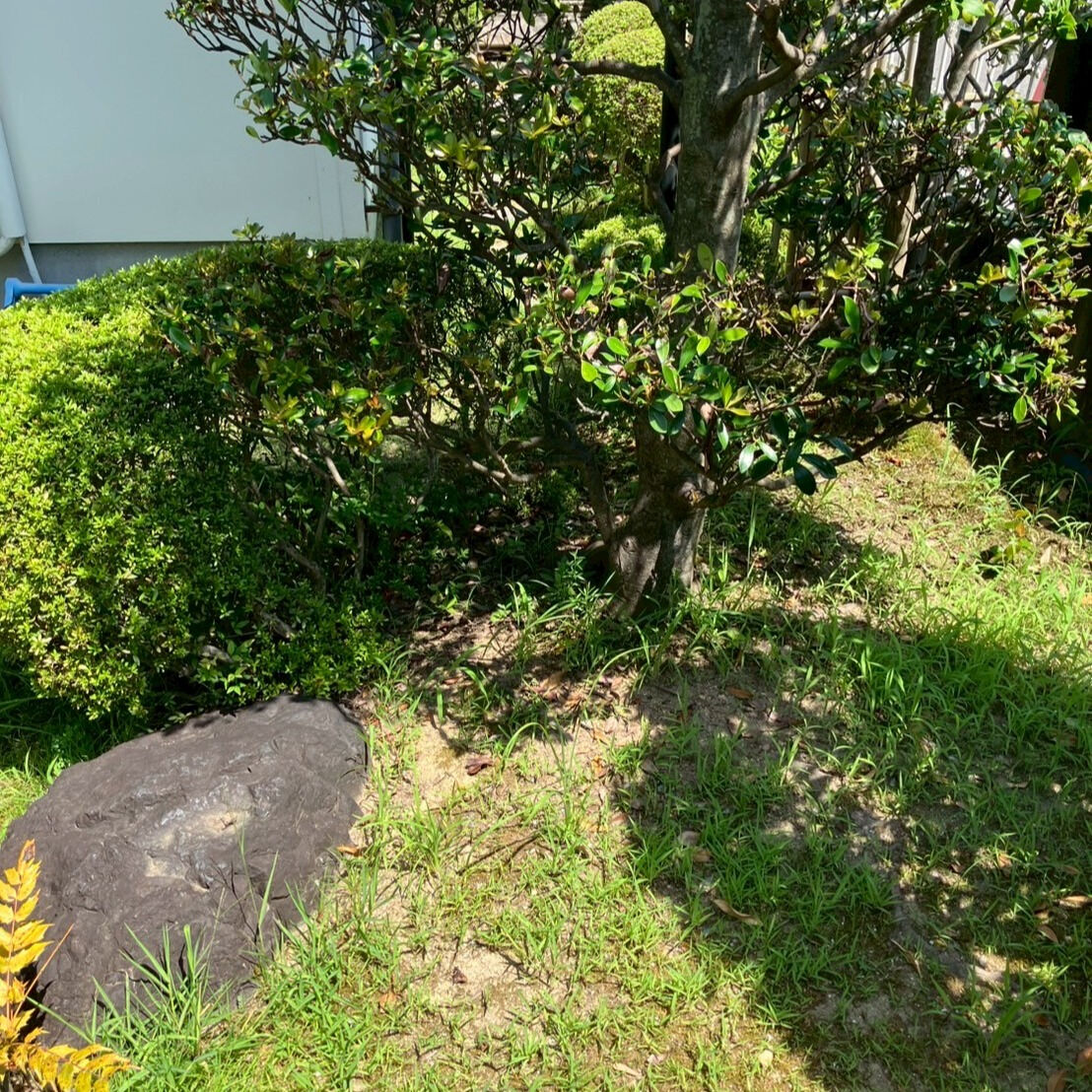 ⭐草刈り⭐