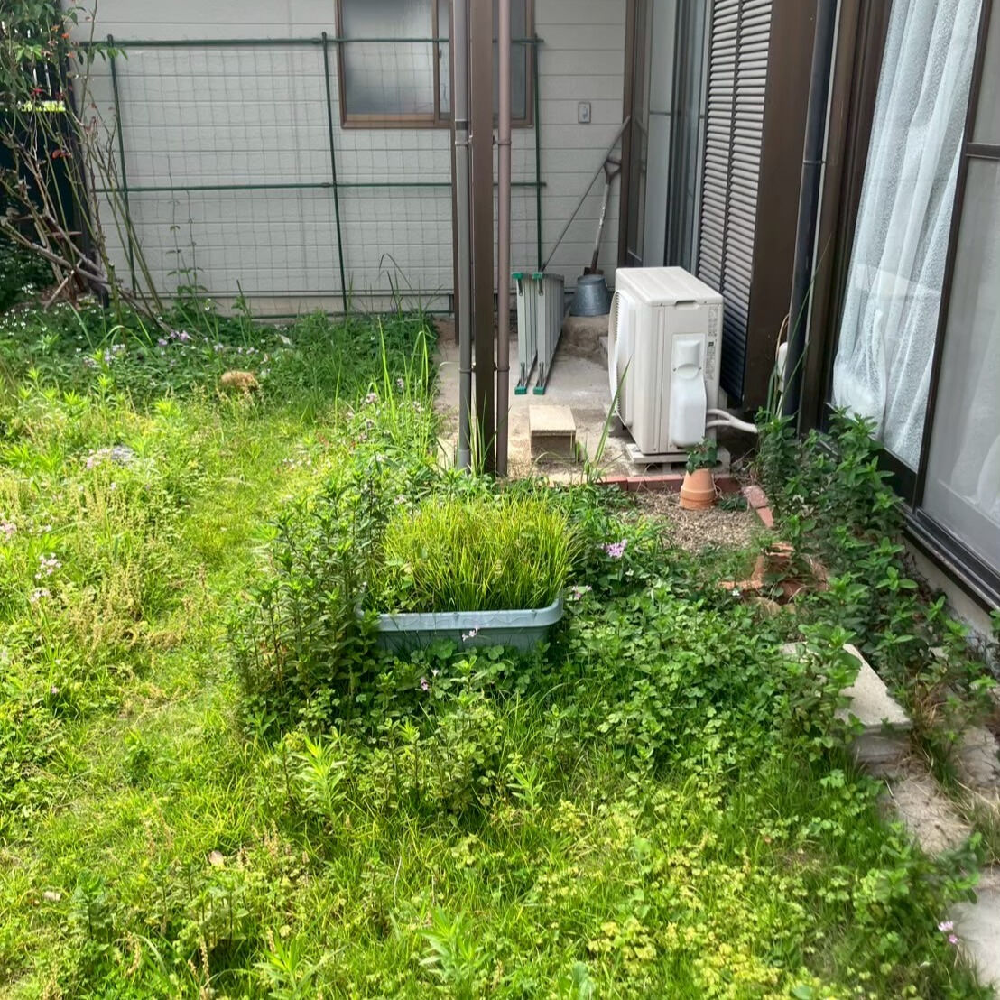 ⭐草刈り・剪定⭐