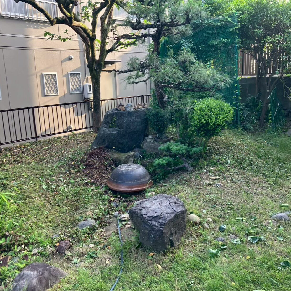 ⭐草刈り・剪定⭐