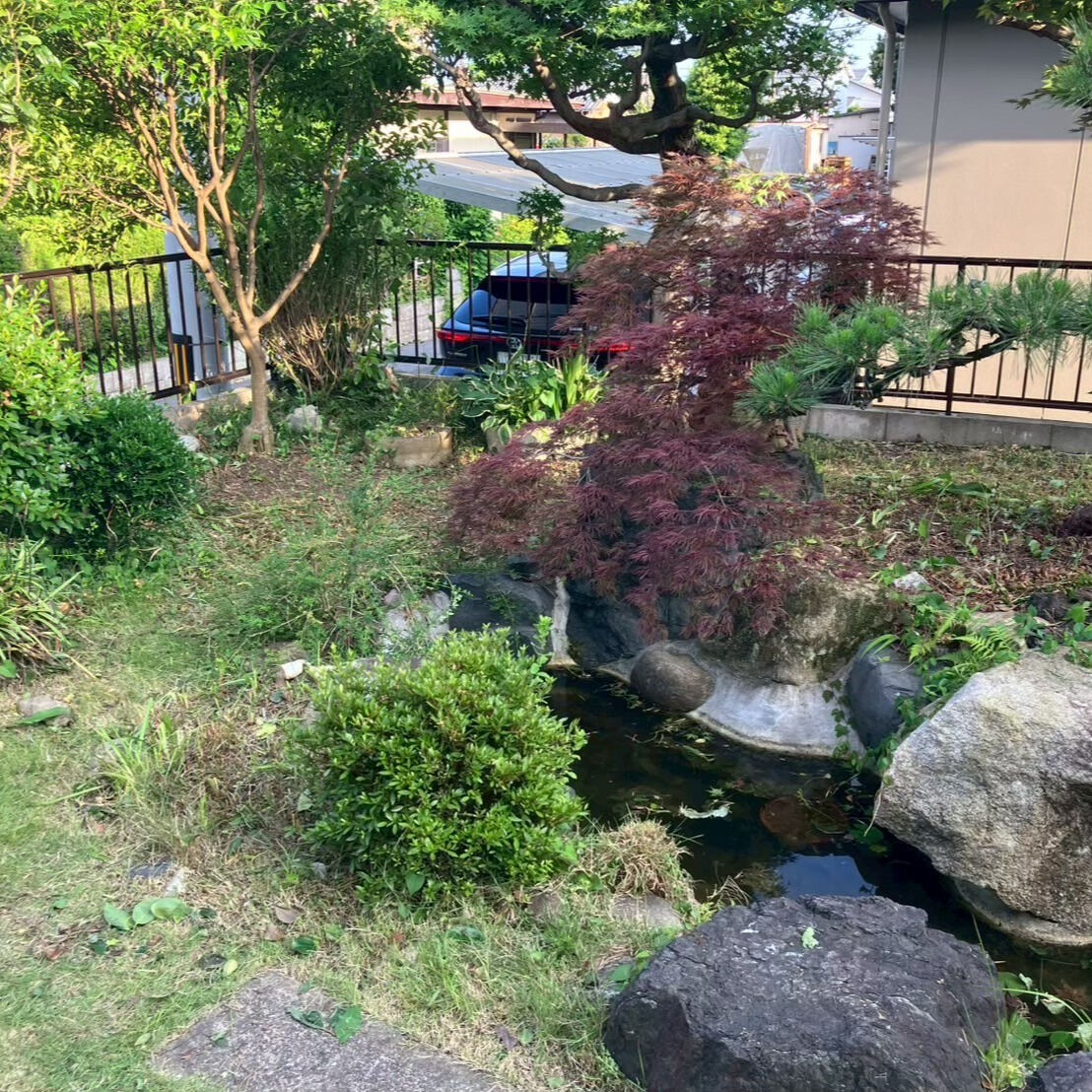 ⭐草刈り・剪定⭐