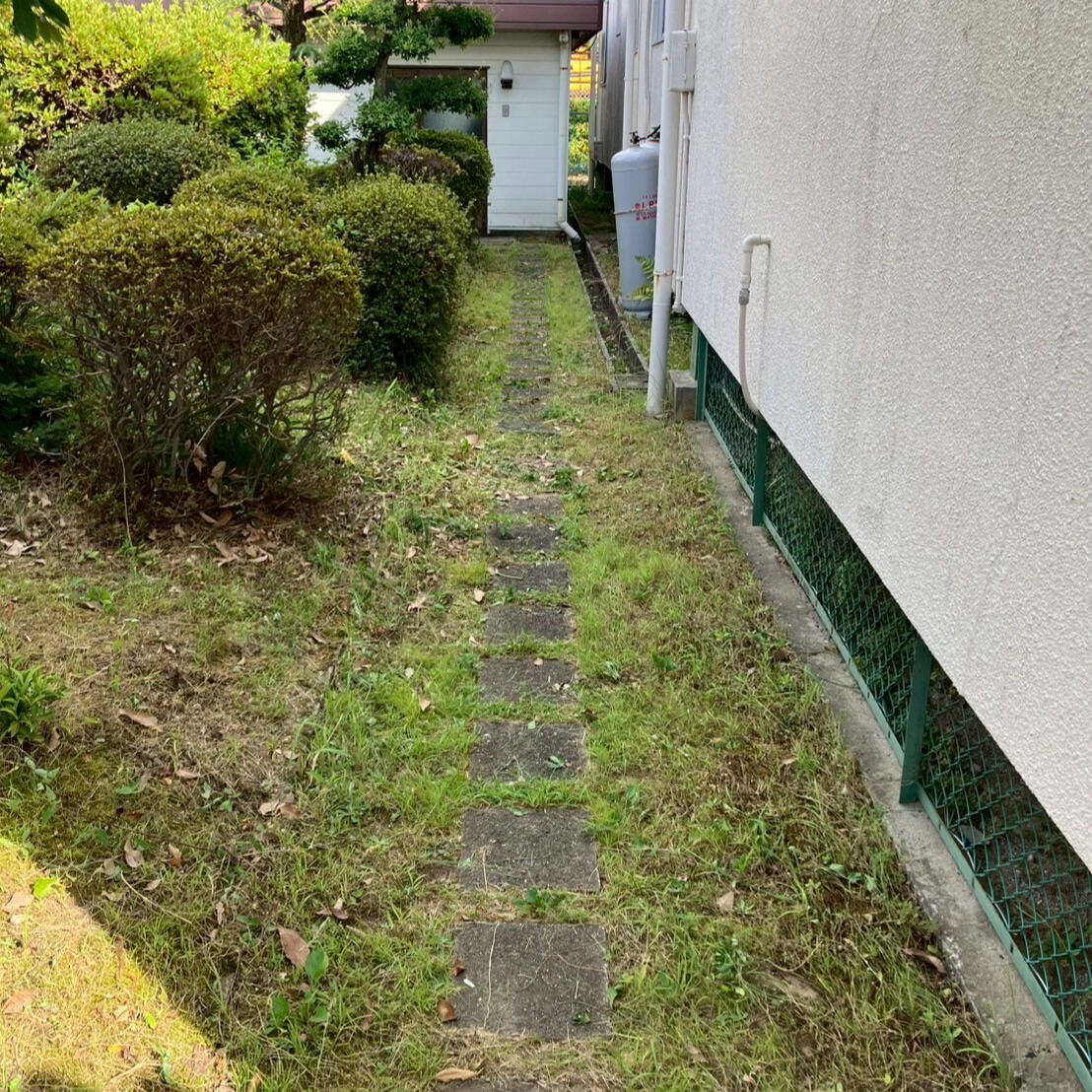 ⭐草刈り⭐