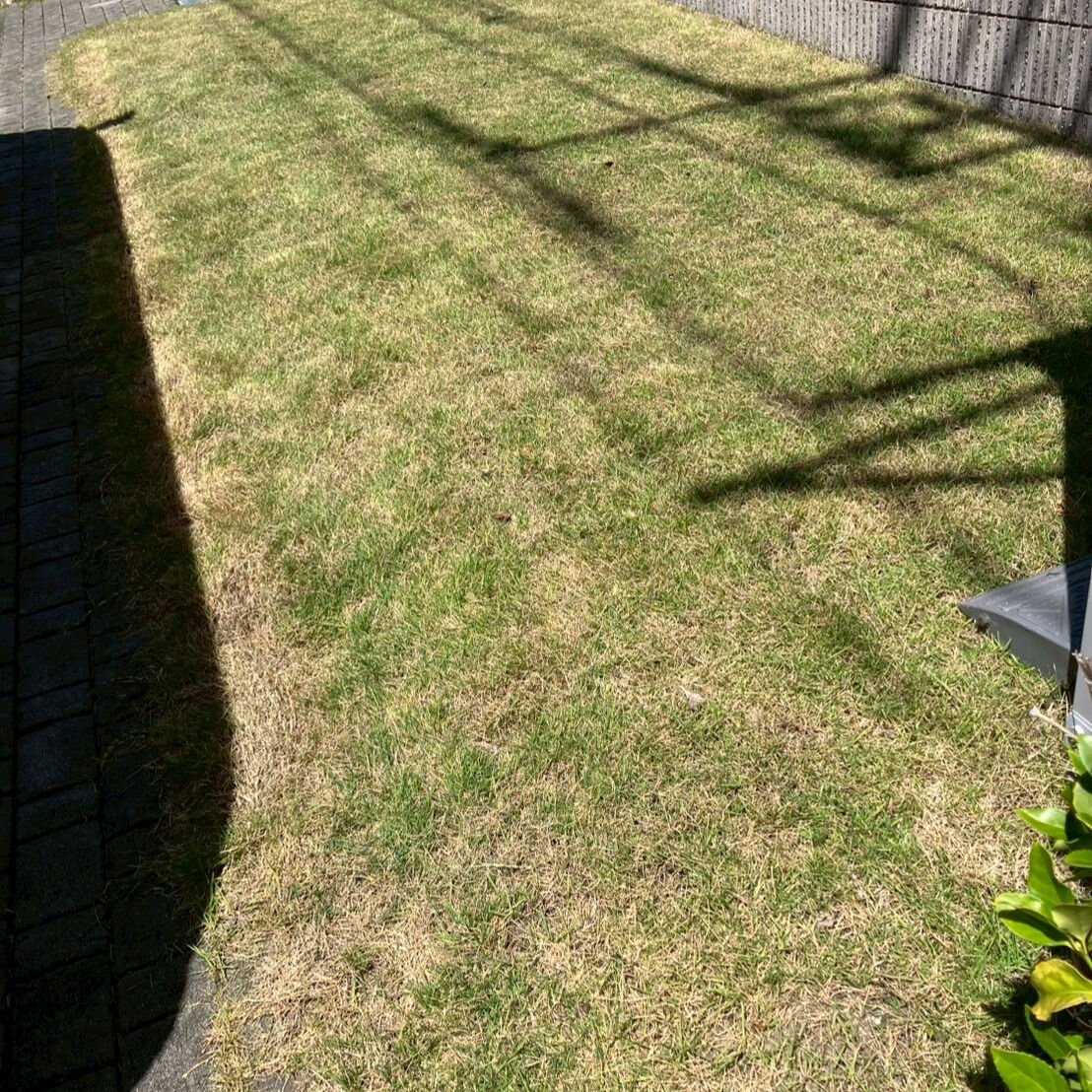 ⭐芝刈り⭐