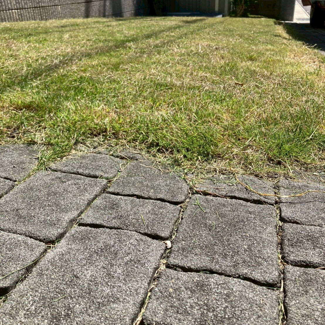 ⭐芝刈り⭐