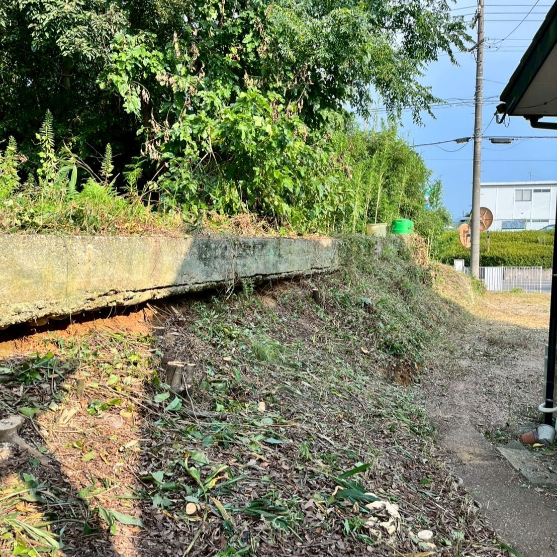 ⭐草刈り⭐