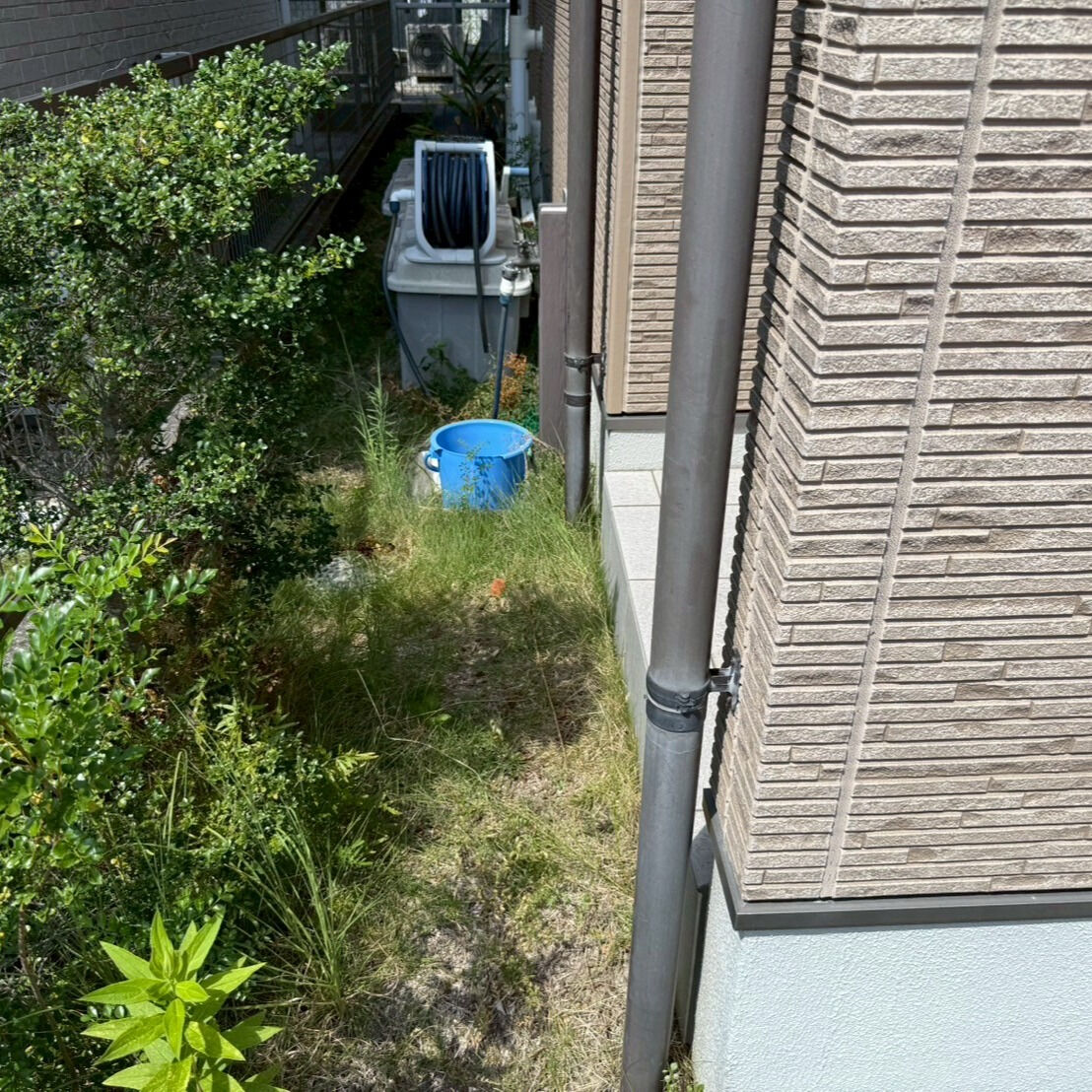 ⭐草抜き⭐