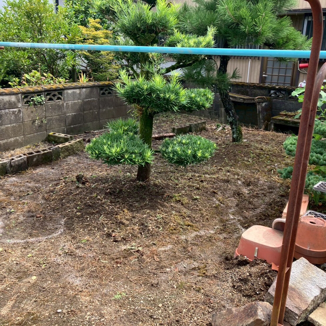 ⭐庭の草抜き⭐