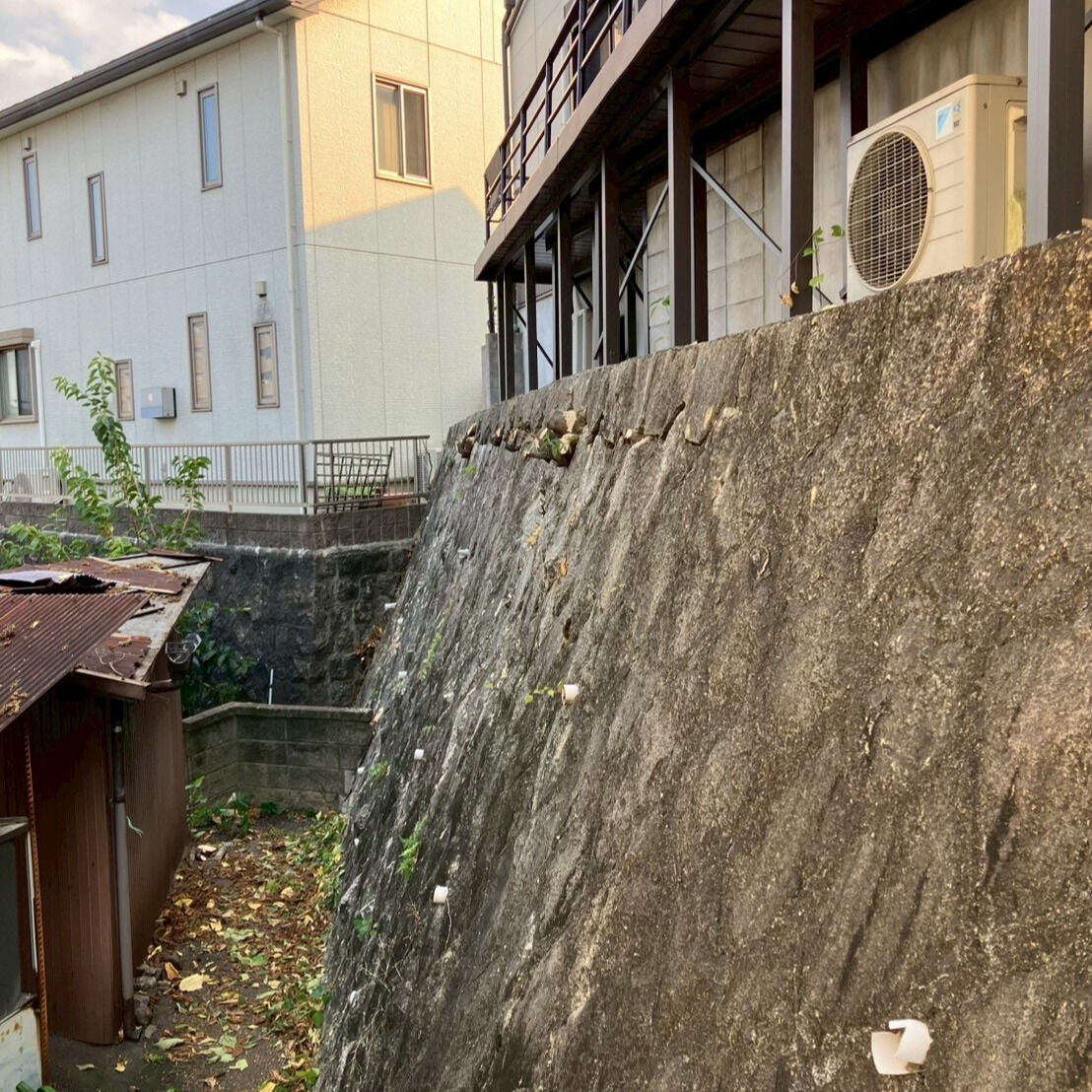 ⭐崖部の伐木⭐