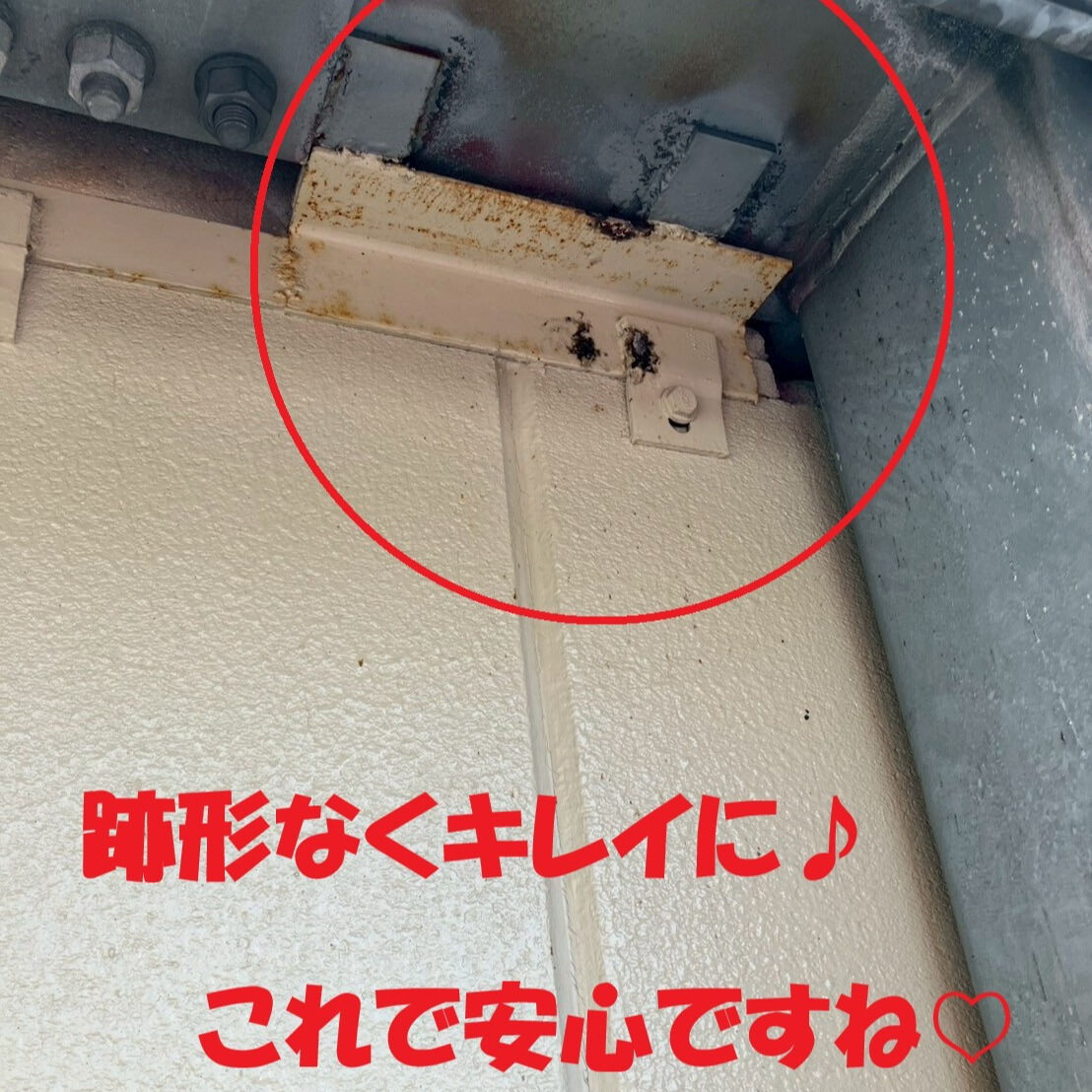 ⭐蜂の巣駆除⭐