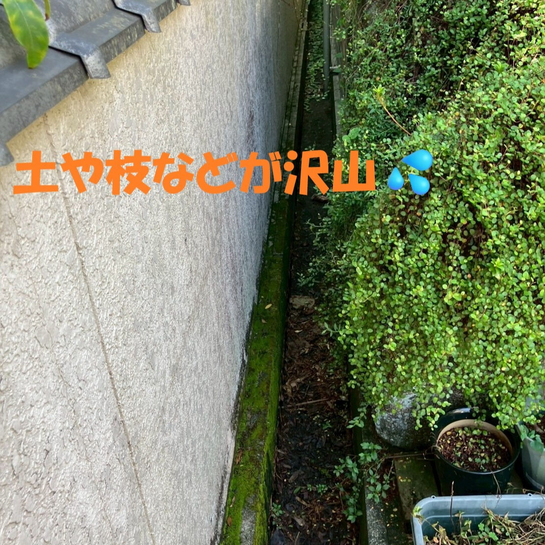 ⭐側溝の清掃⭐