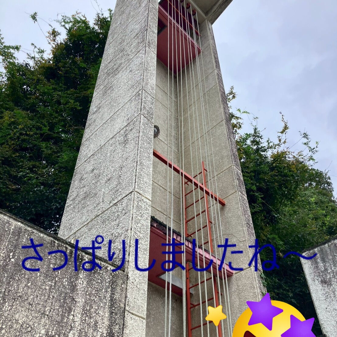 ⭐ツルの除去⭐