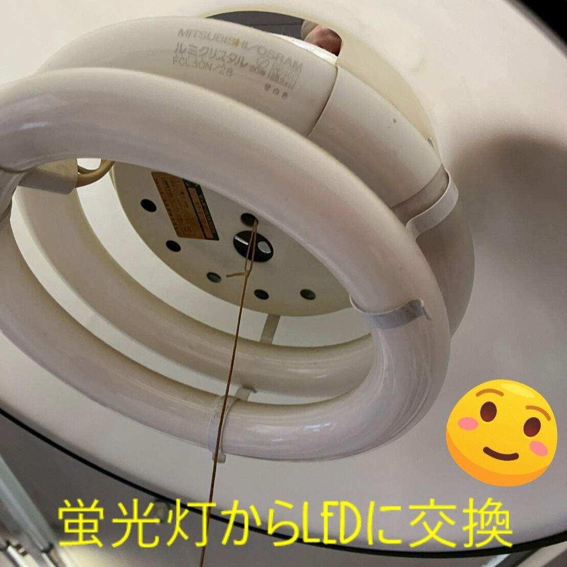 ⭐ライト交換⭐