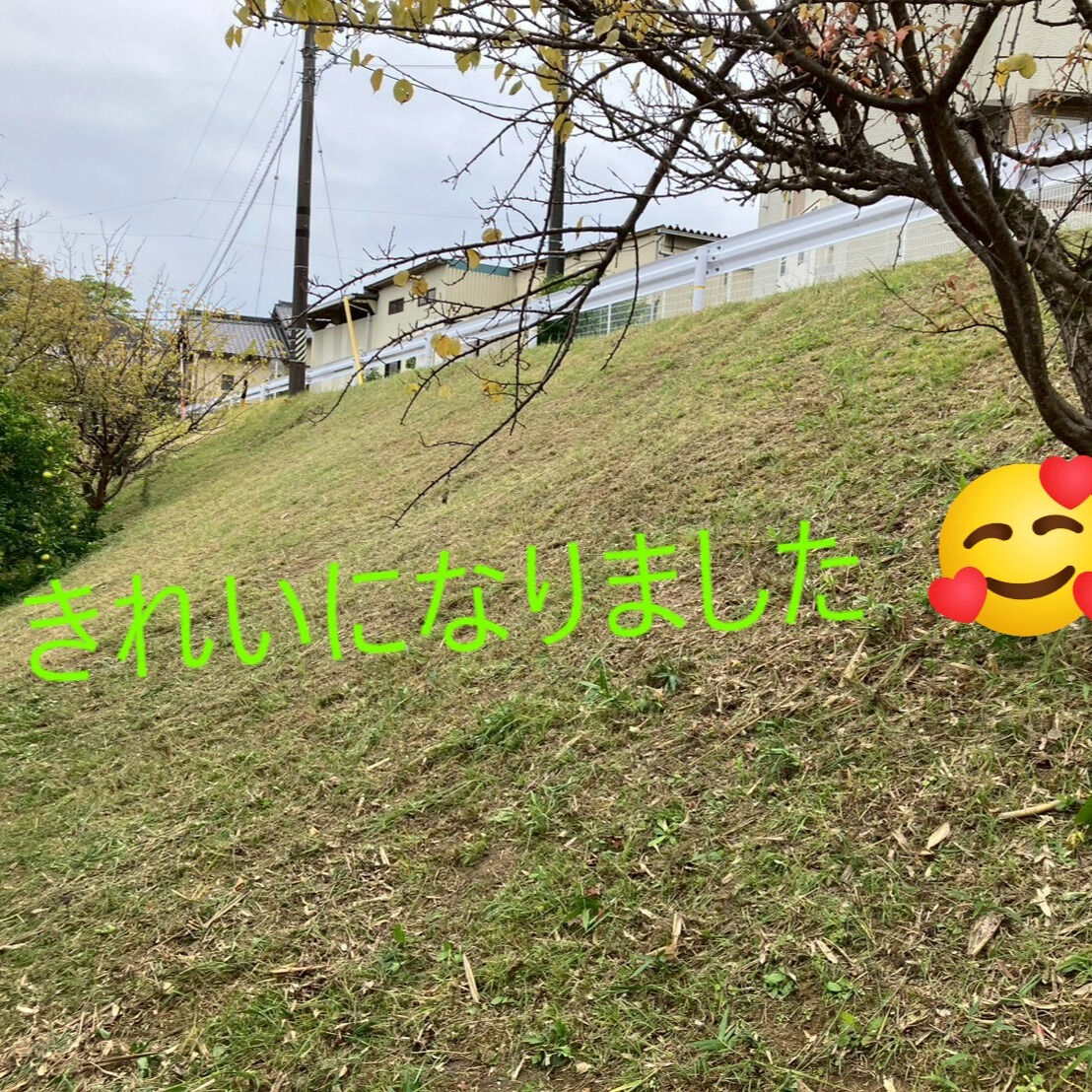 ⭐草刈り⭐