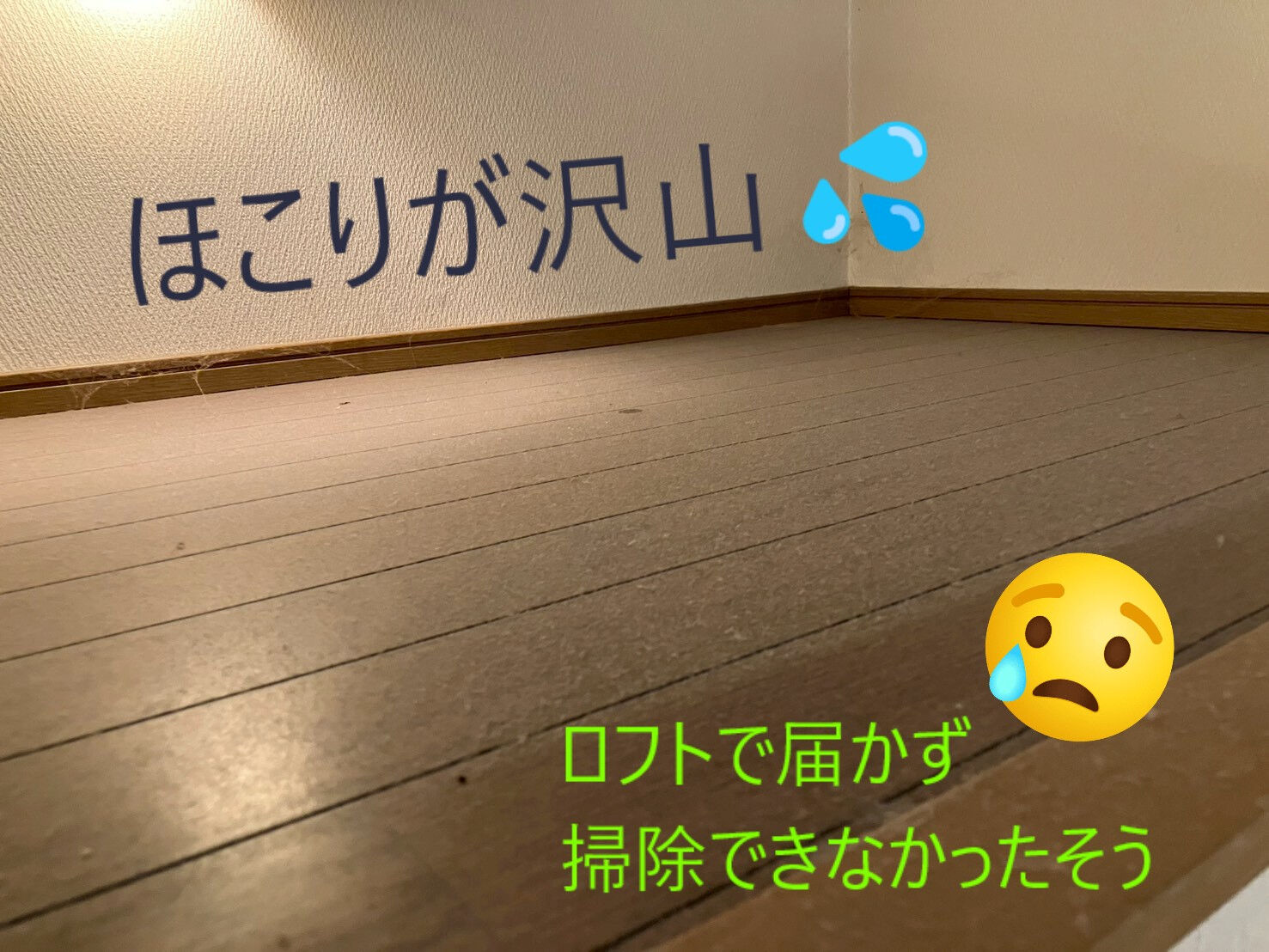 ⭐ロフトクリーニング⭐