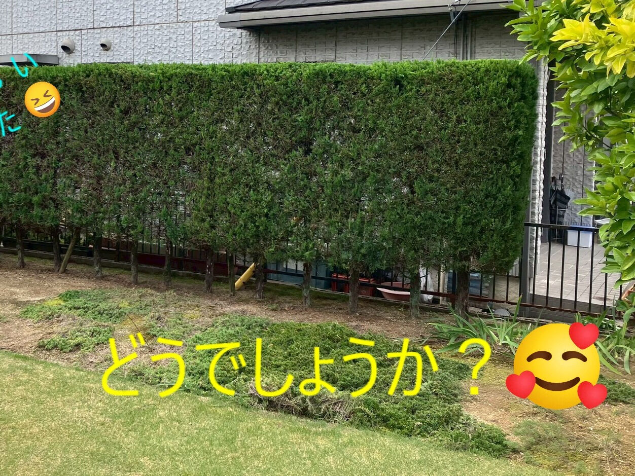 ⭐剪定⭐