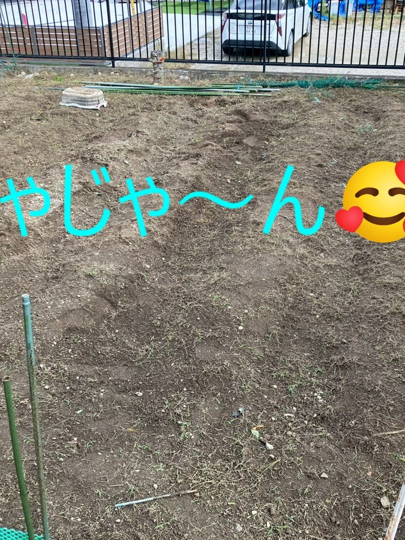 ⭐草取り⭐