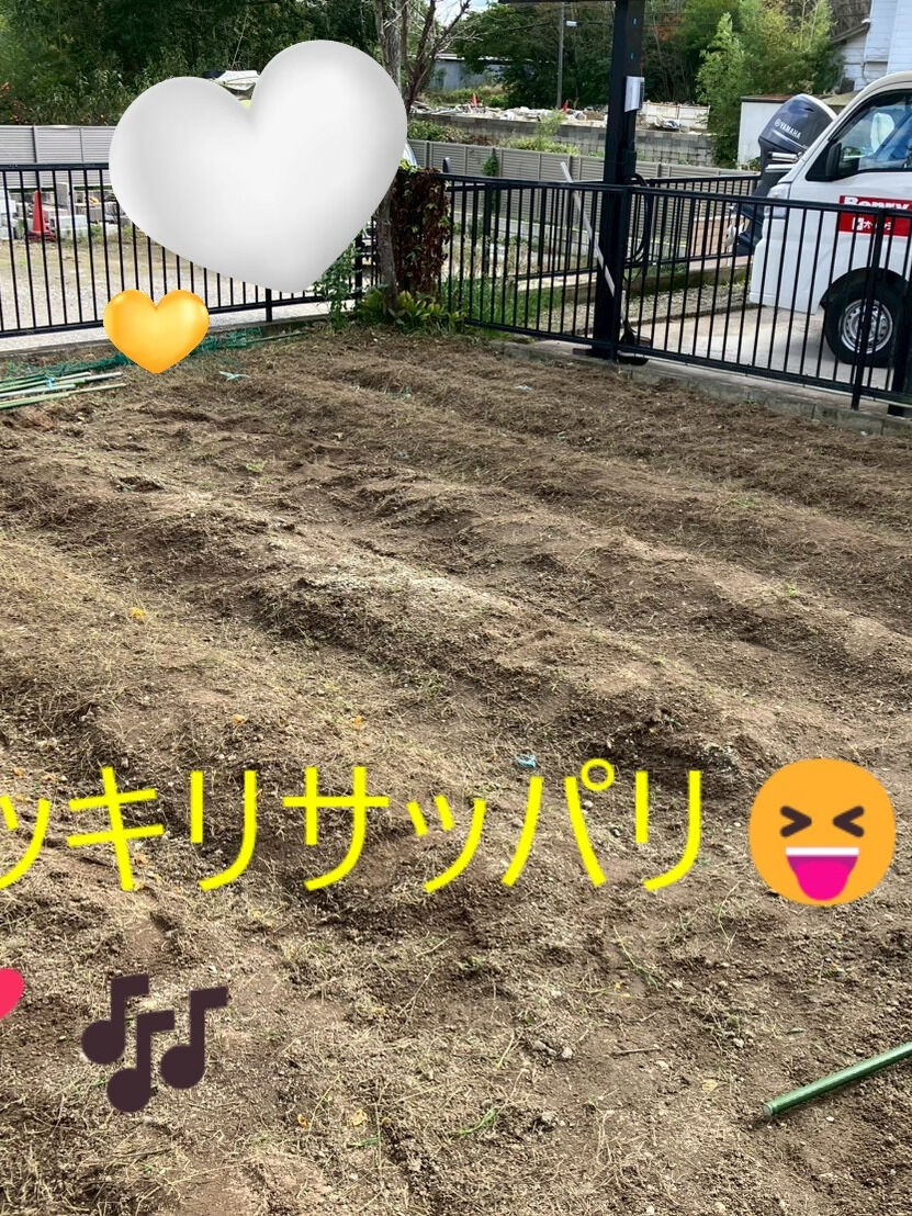 ⭐草取り⭐