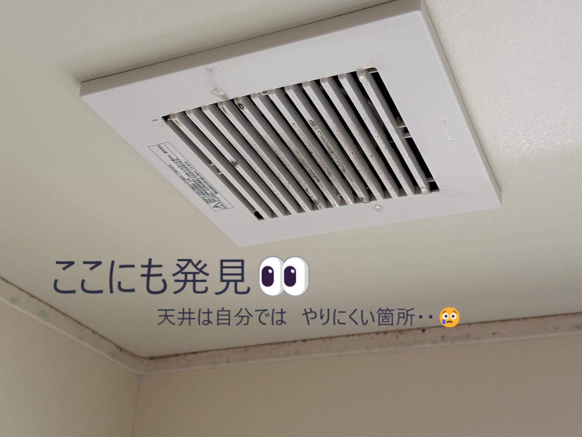 ⭐バスクリーニング⭐