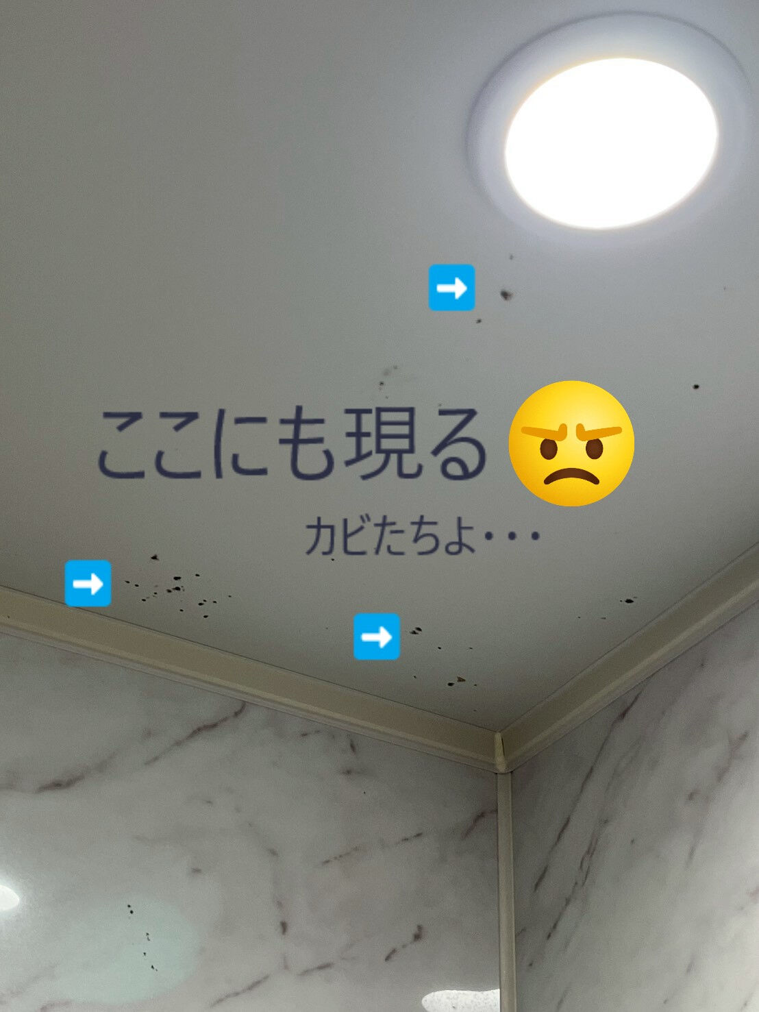 ⭐バスクリーニング⭐