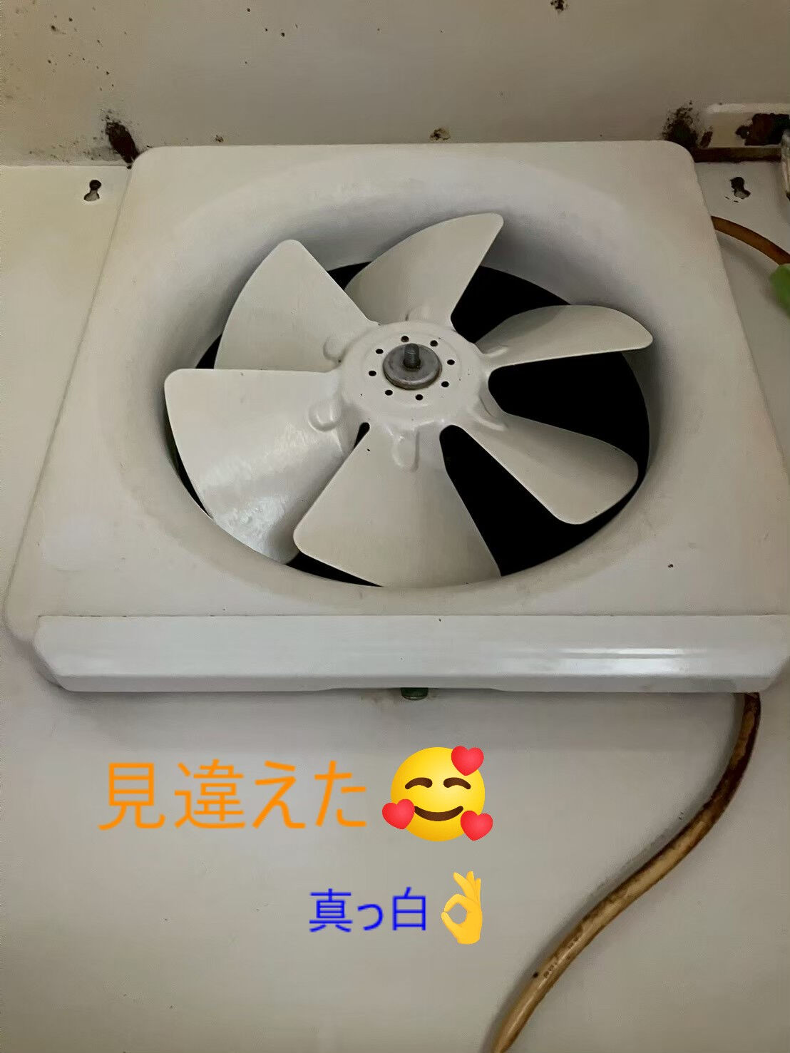 ⭐換気扇クリーニング⭐
