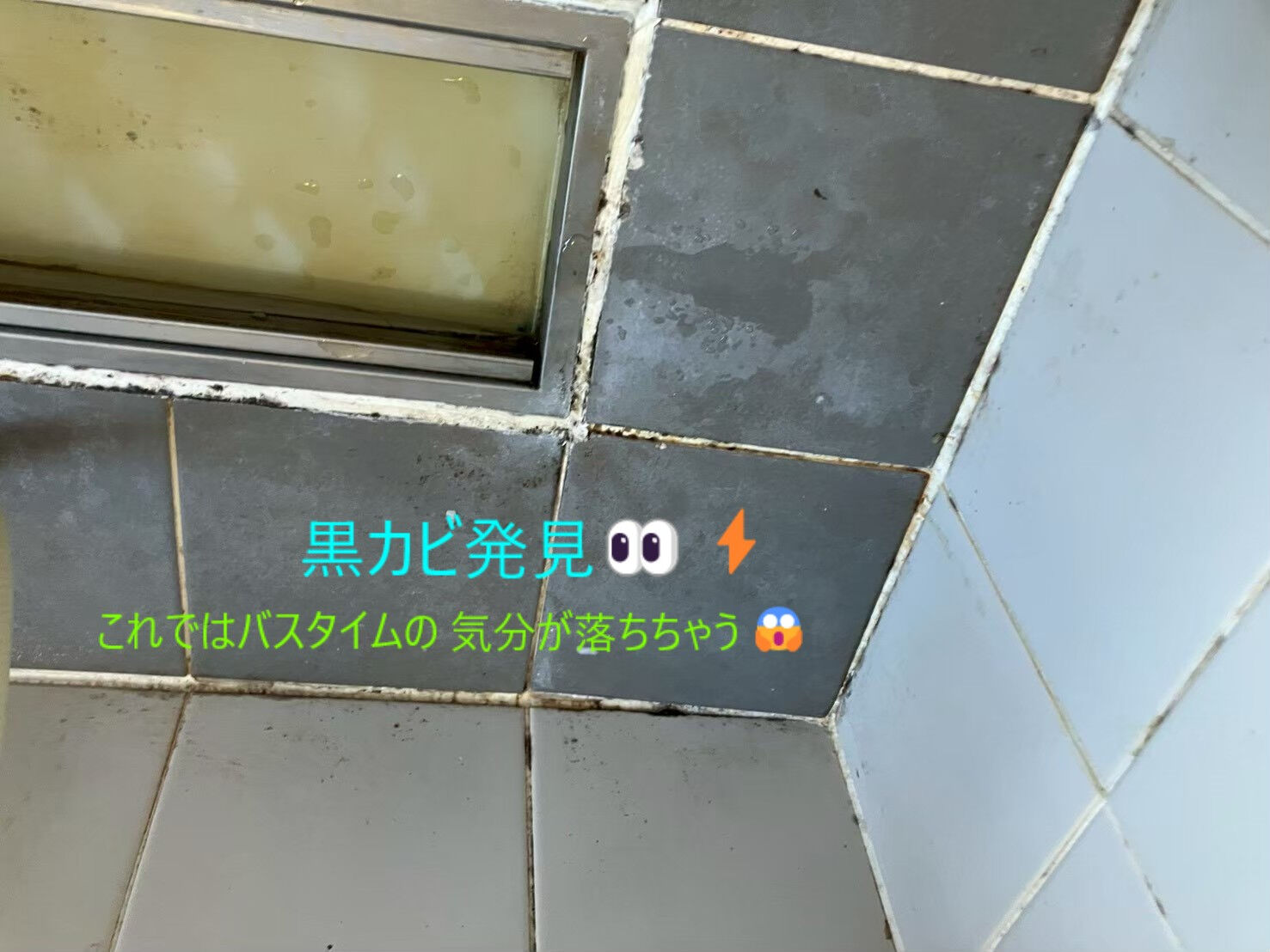 ⭐バスクリーニング⭐