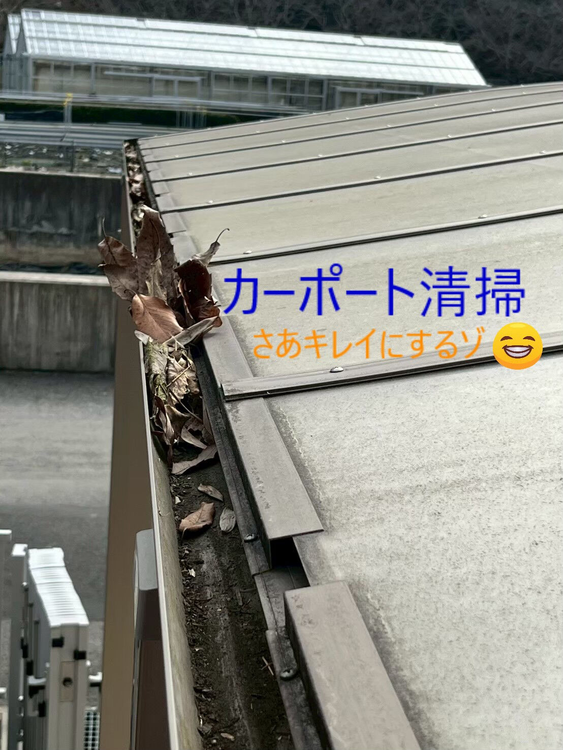 ⭐カーポート清掃⭐