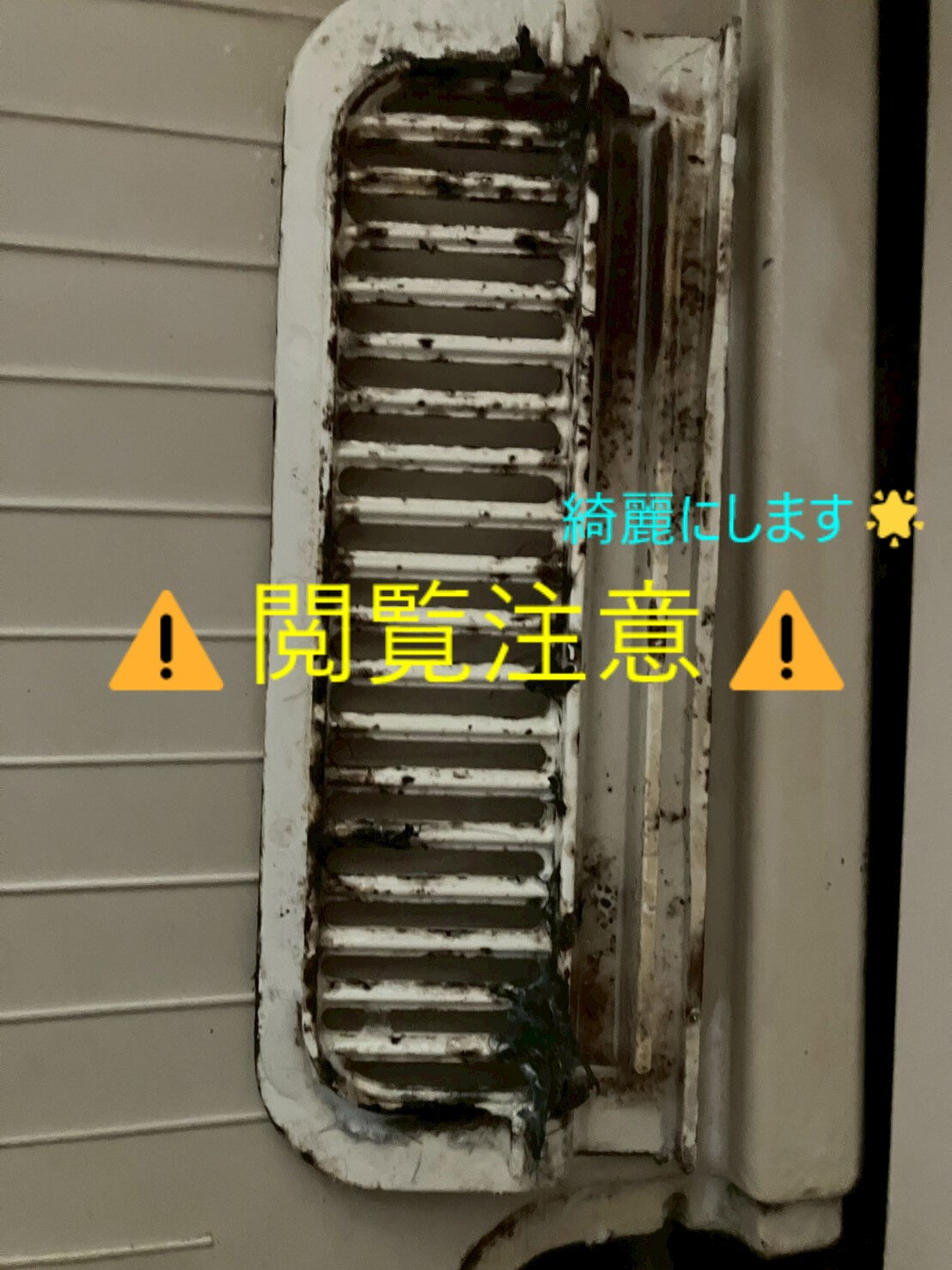 ⭐空室のクリーニング⭐