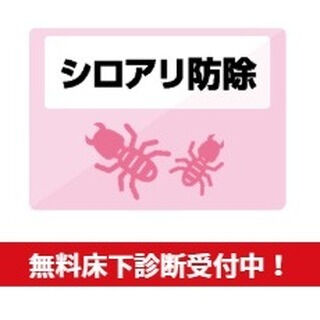 春がやってきましたね！🌸