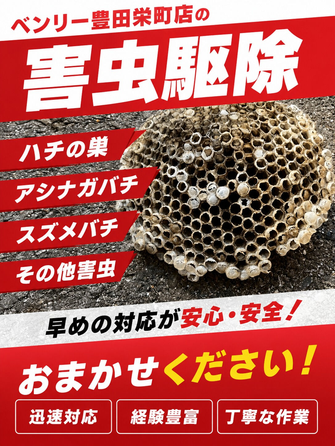 ⭐ハチの巣駆除⭐