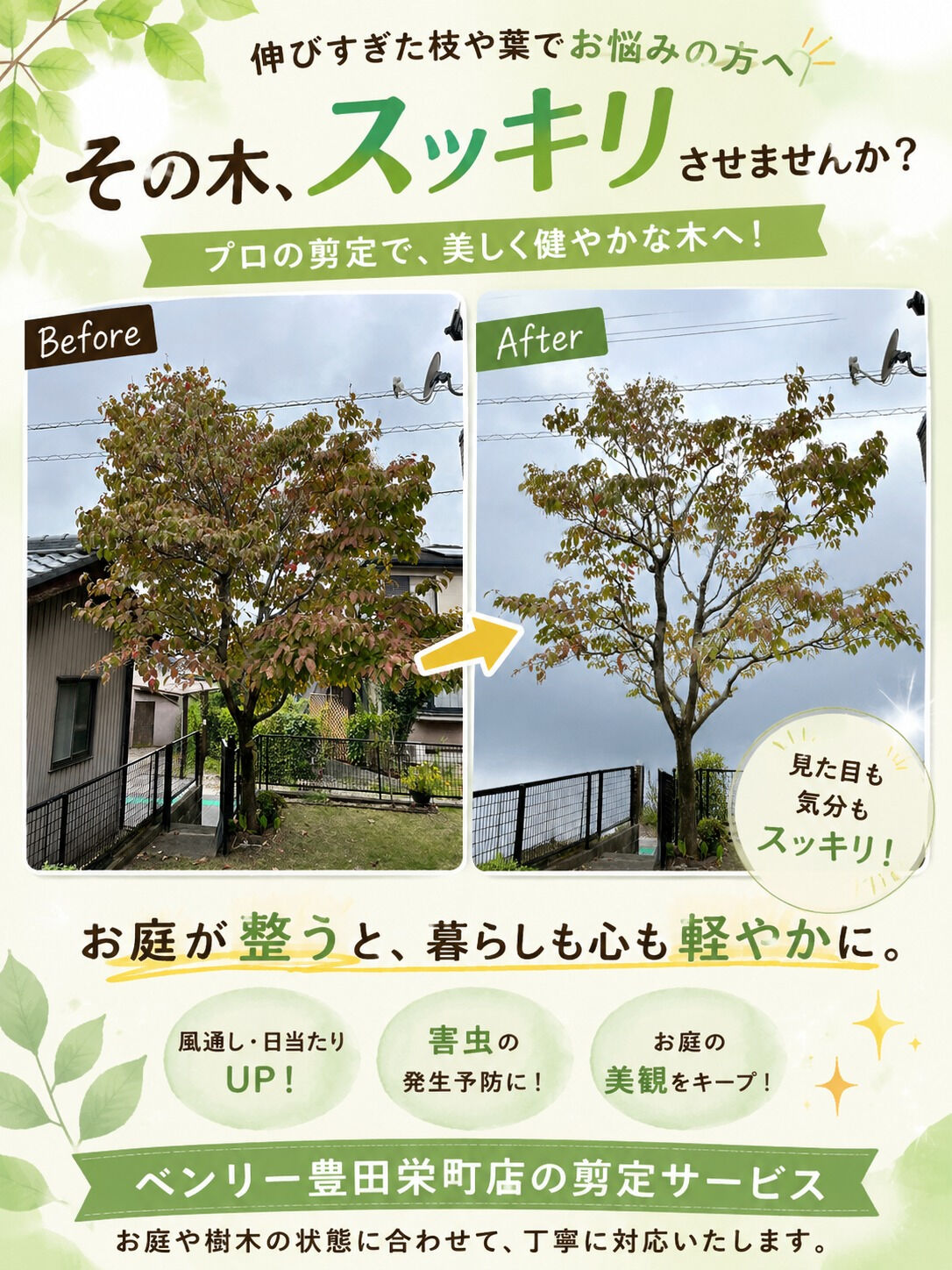⭐剪定⭐
