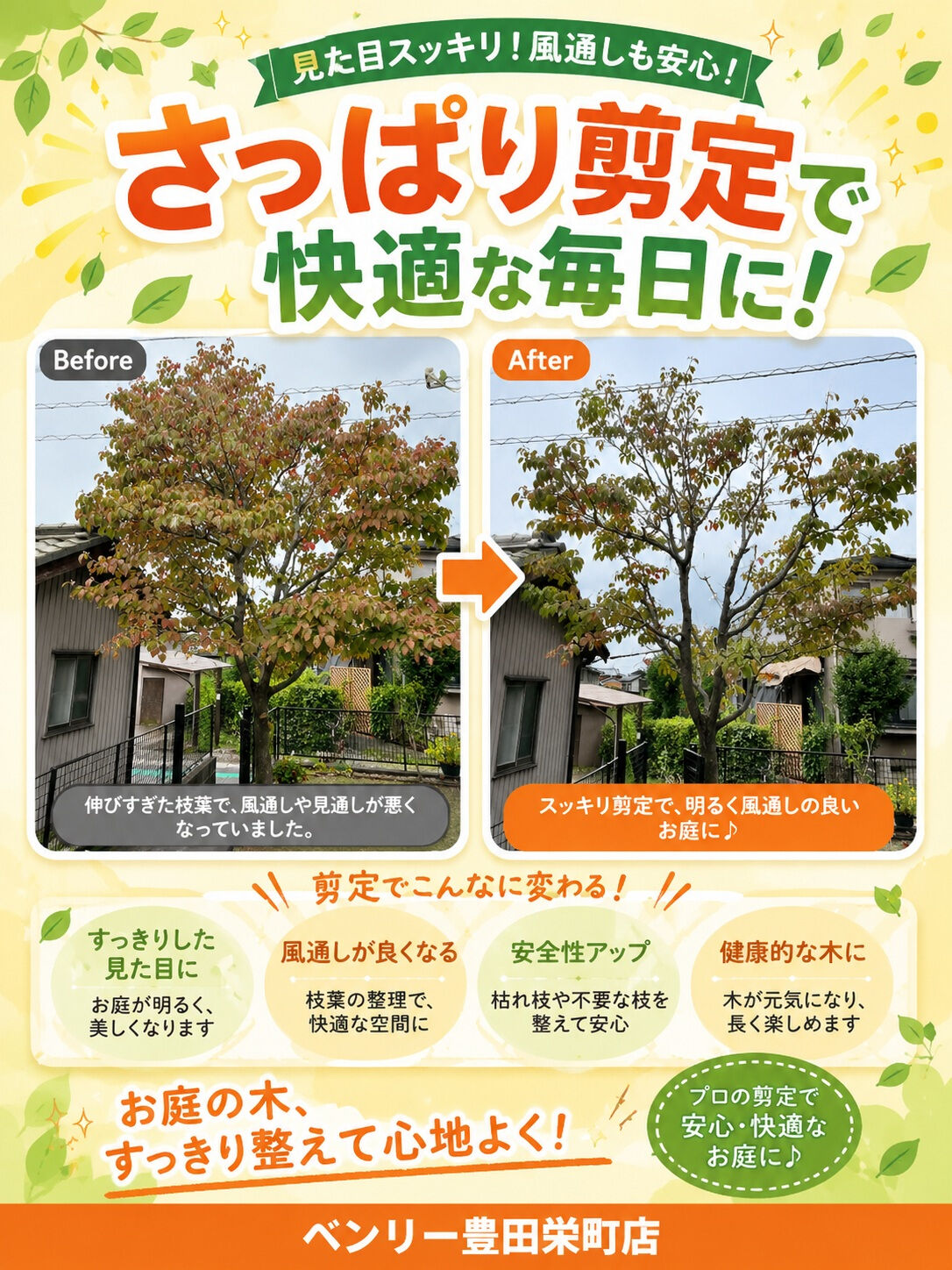 ＼ お庭の剪定を行いました🌿✂️ ／
